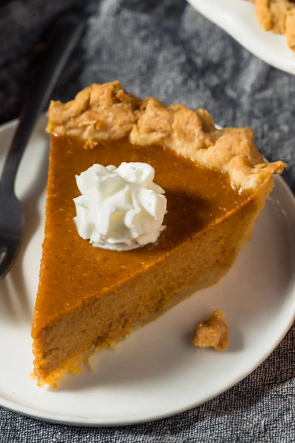 Slice of homemade Thanksgiving pumpkin pie