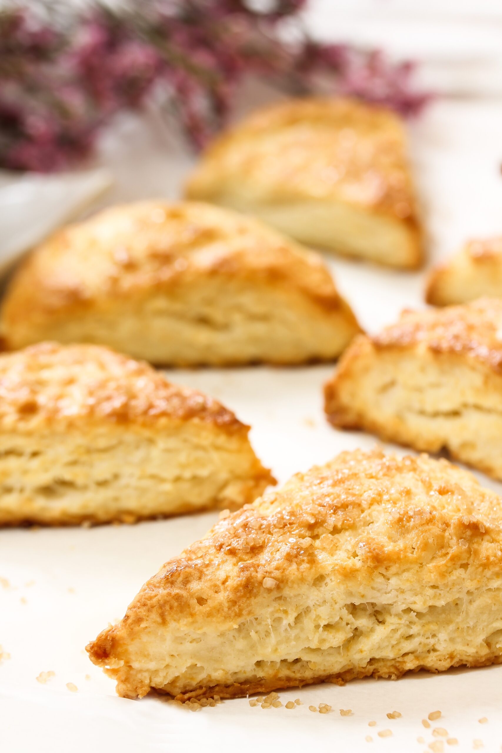 Homemade traditional Scotch scones