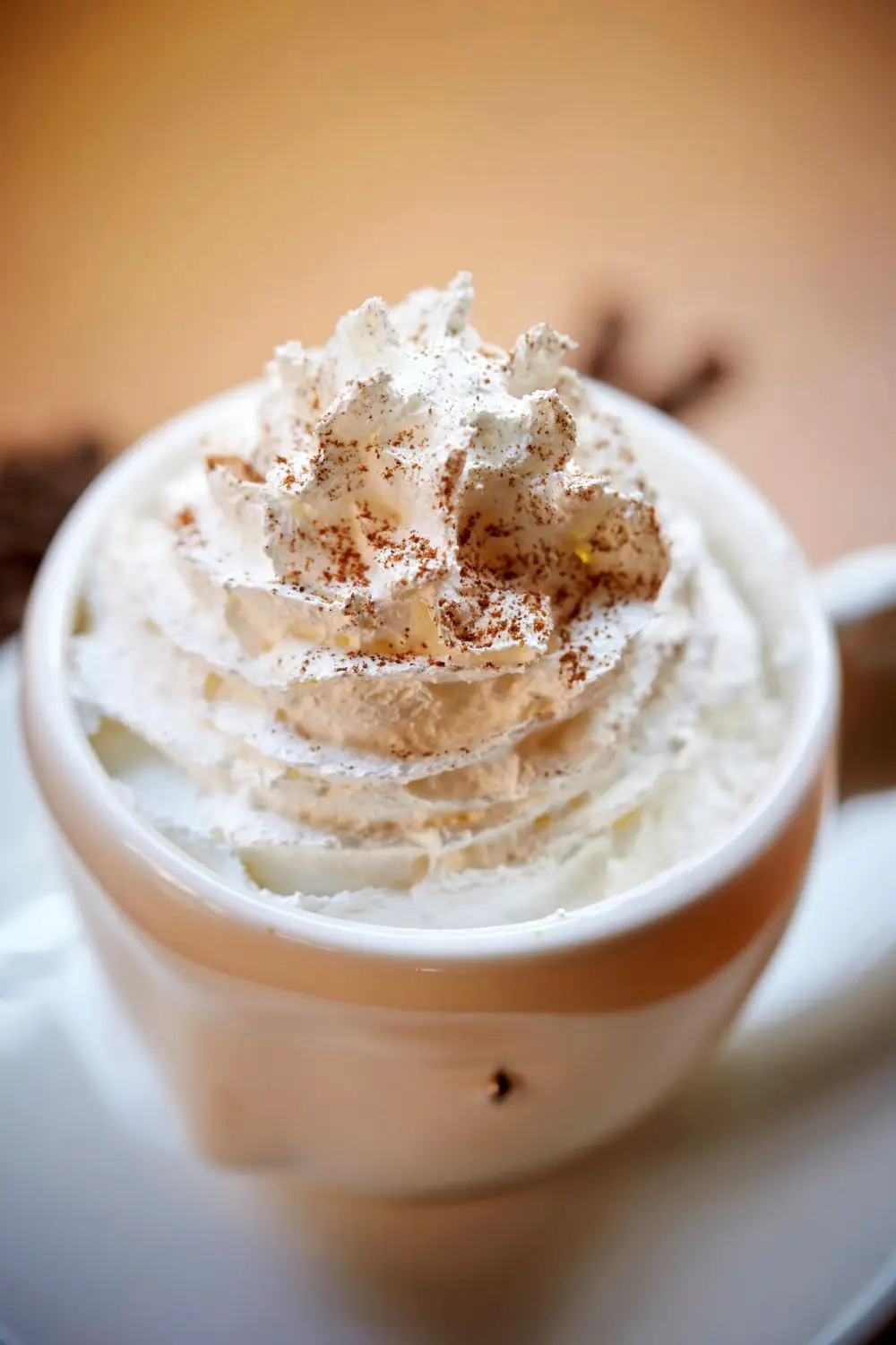 Brandied spiced whipped cream topped with cocoa dust