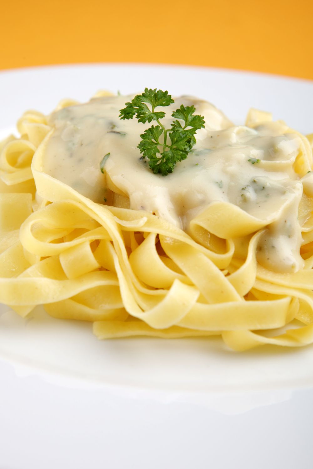 White pasta bowl filled with fettuccine alfredo.